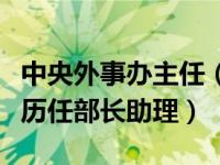 中央外事办主任（部长助理是什么级别外交部历任部长助理）