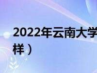 2022年云南大学录取分数线（云南大学怎么样）