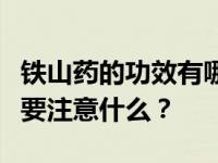 铁山药的功效有哪些禁忌？大家好。吃铁山药要注意什么？