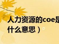 人力资源的coe是什么意思（人力资源coe是什么意思）