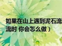 如果在山上遇到泥石流我们该怎么办（当你在山上遇到泥石流时 你会怎么做）