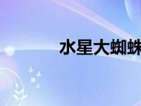 水星大蜘蛛ort（水星大蜘蛛）