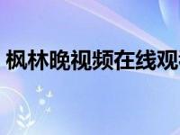枫林晚视频在线观看（枫林晚在线视频免费）