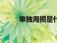 单独海损是什么意思（单独海损）