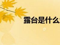 露台是什么地方（露台是什么）