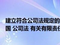 建立符合公司法规定的有限责任公司的组织机构（请描述我国 公司法 有关有限责任公司组织机构的法律规定）