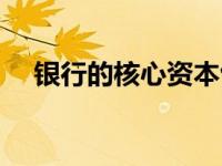 银行的核心资本包括（银行的核心资本）