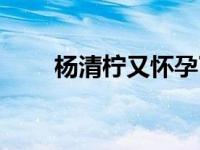 杨清柠又怀孕了吗（杨清柠双胞胎）
