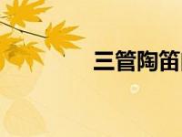 三管陶笛曲谱（三管陶笛）