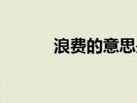 浪费的意思是啥（浪费的意思）