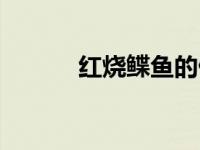 红烧鲽鱼的做法（鱼排的做法）