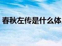 春秋左传是什么体史书（左传是什么体史书）