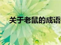 关于老鼠的成语好的（关于老鼠的成语）