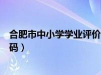 合肥市中小学学业评价网登录（合肥市小学学业评价登录密码）
