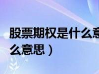 股票期权是什么意思通俗解释（股票期权是什么意思）