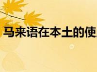 马来语在本土的使用情况（马来语在线翻译）