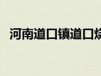 河南道口镇道口烧鸡（河南道口烧鸡简介）