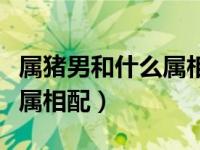 属猪男和什么属相配着最合适（属猪男和什么属相配）