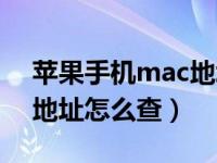 苹果手机mac地址怎么查看（苹果手机mac地址怎么查）