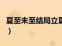 夏至未至结局立夏和谁在一起（夏至未至结局）