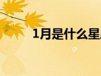 1月是什么星座（1月是什么星座）