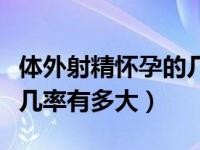体外射精怀孕的几率是多大（唐筛结果看男女几率有多大）