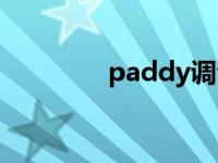paddy调音口琴（paddy）
