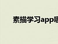 素描学习app哪个比较好（素描学习）