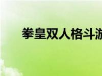 拳皇双人格斗游戏（拳皇大战双人版）