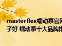 masterflex蠕动泵官网（蠕动泵哪个牌子好 蠕动泵什么牌子好 蠕动泵十大品牌排名如题谢谢）