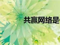 共赢网络是做什么的（共赢网）