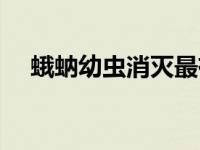 蛾蚋幼虫消灭最有效的方法（蛾蚋幼虫）
