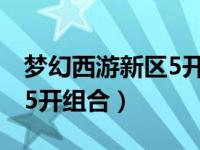 梦幻西游新区5开组合排行榜（梦幻西游新区5开组合）