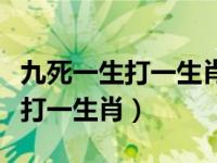 九死一生打一生肖最佳答案是什么（九死一生打一生肖）
