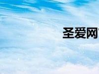 圣爱网官网（圣爱网）