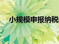 小规模申报纳税的流程（申报纳税流程）