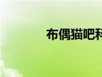 布偶猫吧科普贴（布偶猫吧）
