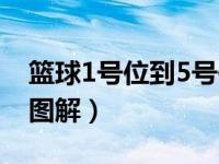篮球1号位到5号位图解（篮球1号位到5号位图解）