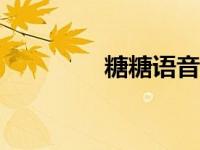 糖糖语音app（糖糖语音）