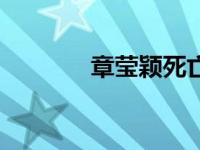 章莹颖死亡日记（章莹颖死）