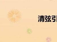 清弦引txt（清弦引）