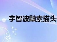 宇智波鼬素描头像（宇智波鼬素描教程）