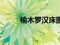 榆木罗汉床图片及价格（榆木床）