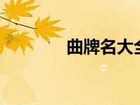 曲牌名大全5（曲牌名大全）