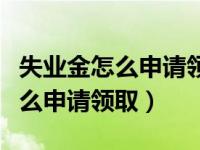 失业金怎么申请领取需要什么材料（失业金怎么申请领取）