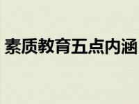 素质教育五点内涵（素质教育的内涵是什么）