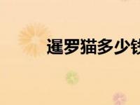 暹罗猫多少钱一只（暹罗怎么读）