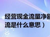 经营现金流量净额为负是什么意思（经营现金流是什么意思）