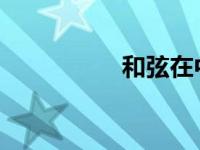 和弦在中文里的意思是