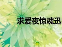 求爱夜惊魂迅雷下载（求爱夜惊魂）